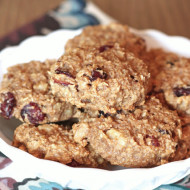 gluten free vegan breakfast cookies